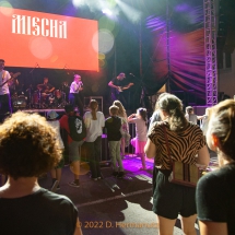 Große Kreisstadt Bürgerfest - Party