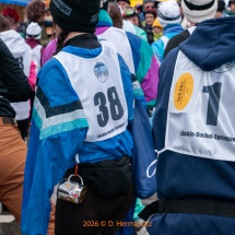 Fasnetsumzug-0091-Olympia-im-Königstal