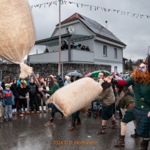 Fasnetsumzug-0112-Olympia-im-Königstal