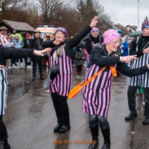 Fasnetsumzug-0165-Olympia-im-Königstal