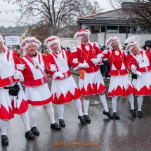 Fasnetsumzug-0189-Olympia-im-Königstal