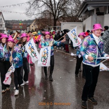 Fasnetsumzug-0192-Olympia-im-Königstal