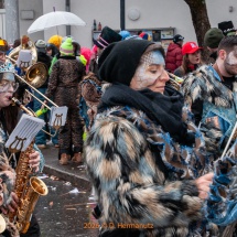 Fasnetsumzug-0206-Olympia-im-Königstal