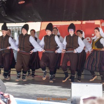 Fest-der-Kulturen-0005-