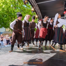 Fest-der-Kulturen-0006-