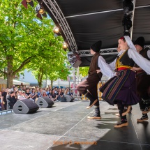 Fest-der-Kulturen-0013-