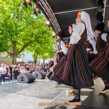 Fest-der-Kulturen-0014-