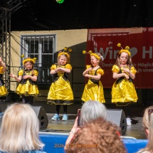 Fest-der-Kulturen-0025-