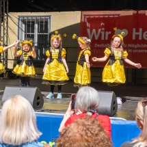 Fest-der-Kulturen-0028-