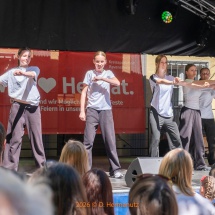 Fest-der-Kulturen-0034-