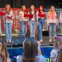 Fest-der-Kulturen-0123