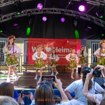 Fest-der-Kulturen-0131