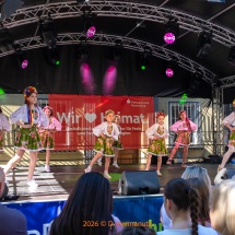 Fest-der-Kulturen-0137