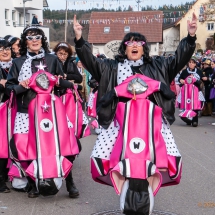 60 Jahre Umzug im Königstal - Mittelurbacher Fasnet