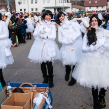 60 Jahre Umzug im Königstal - Mittelurbacher Fasnet