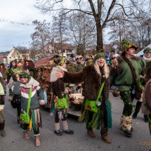 60 Jahre Umzug im Königstal - Mittelurbacher Fasnet