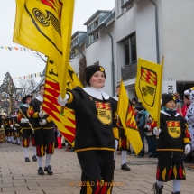 Narrenzunft Aulendorf Landschaftstreffen