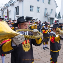 Narrenzunft Aulendorf Landschaftstreffen