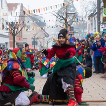 Narrenzunft Aulendorf Landschaftstreffen