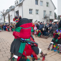 Narrenzunft Aulendorf Landschaftstreffen