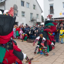 Narrenzunft Aulendorf Landschaftstreffen