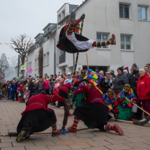 Narrenzunft Aulendorf Landschaftstreffen