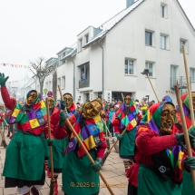 Narrenzunft Aulendorf Landschaftstreffen