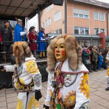 Narrenzunft Aulendorf Landschaftstreffen