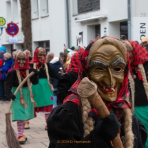 Narrenzunft Aulendorf Landschaftstreffen