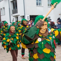 Narrenzunft Aulendorf Landschaftstreffen