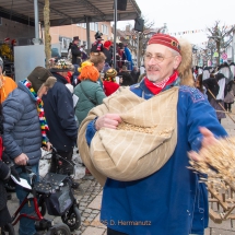 Narrenzunft Aulendorf Landschaftstreffen