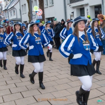 Narrenzunft Aulendorf Landschaftstreffen