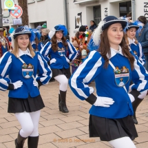 Narrenzunft Aulendorf Landschaftstreffen