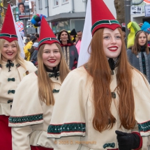 Narrenzunft Aulendorf Landschaftstreffen