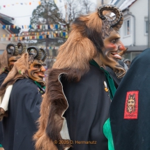 Narrenzunft Aulendorf Landschaftstreffen