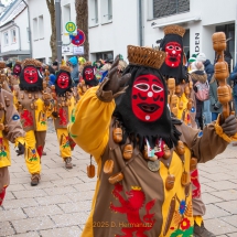 Narrenzunft Aulendorf Landschaftstreffen