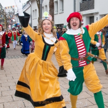 Narrenzunft Aulendorf Landschaftstreffen