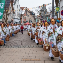 Narrenzunft Aulendorf Landschaftstreffen