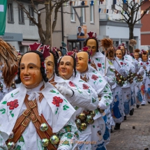 Narrenzunft Aulendorf Landschaftstreffen