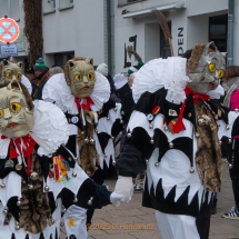 Narrenzunft Aulendorf Landschaftstreffen