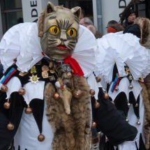 Narrenzunft Aulendorf Landschaftstreffen