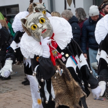 Narrenzunft Aulendorf Landschaftstreffen