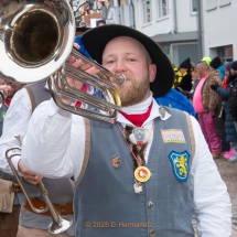 Narrenzunft Aulendorf Landschaftstreffen