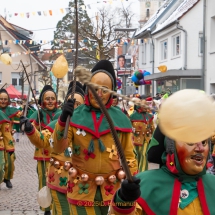 Narrenzunft Aulendorf Landschaftstreffen