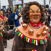 Narrenzunft Aulendorf Landschaftstreffen