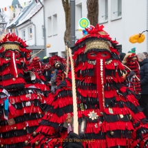 Narrenzunft Aulendorf Landschaftstreffen