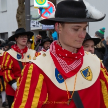 Narrenzunft Aulendorf Landschaftstreffen