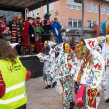 Narrenzunft Aulendorf Landschaftstreffen