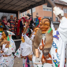 Narrenzunft Aulendorf Landschaftstreffen