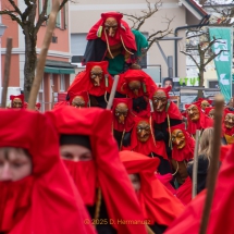 Narrenzunft Aulendorf Landschaftstreffen